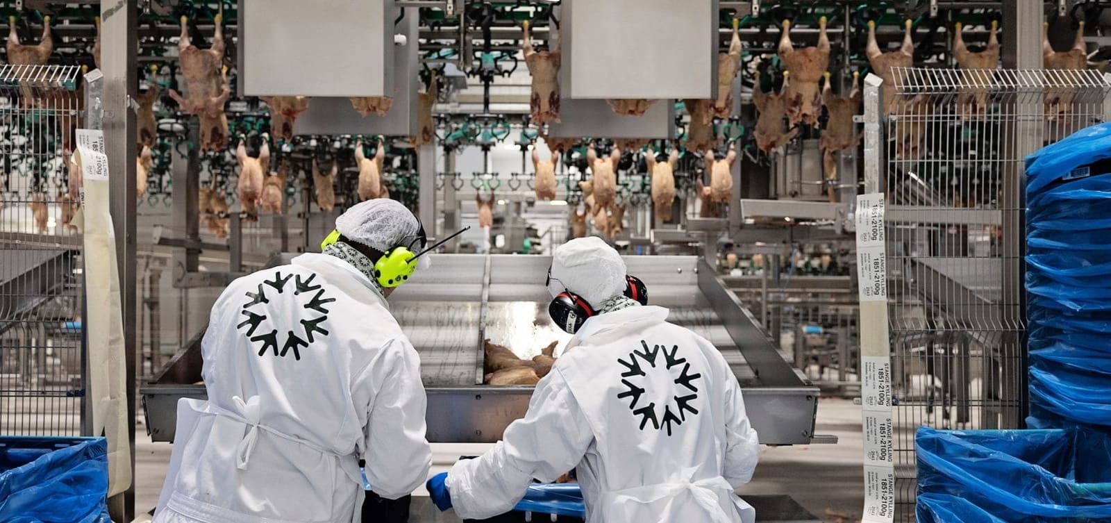 Norsk Kylling tar i bruk Deem for bedre innsikt, kontroll og automatisering!